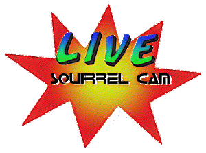 Tacky looking logo