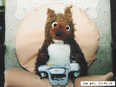 SquirrelCam: Here's one we took earlier....