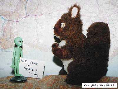 SquirrelCam: Here's one we took earlier....