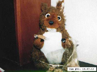 SquirrelCam: Here's one we took earlier....